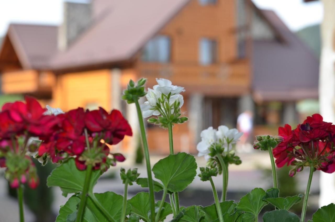 Sribni Rosy Otel Mykulychyn Dış mekan fotoğraf